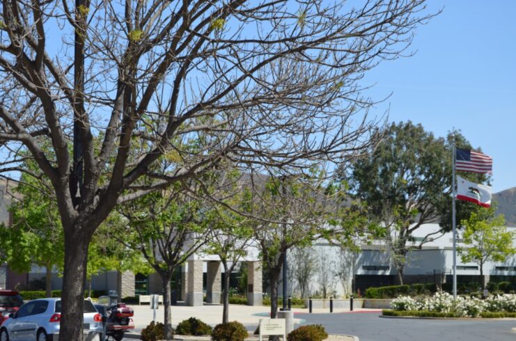 Todd Road Jail - Sheriff's jail facilities