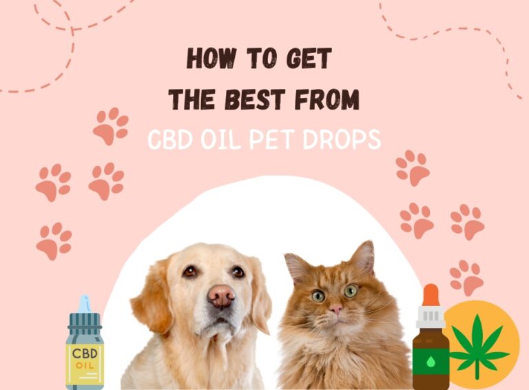 How to Get the Best from CBD Oil Pet Drops Tips and Tricks for Pet