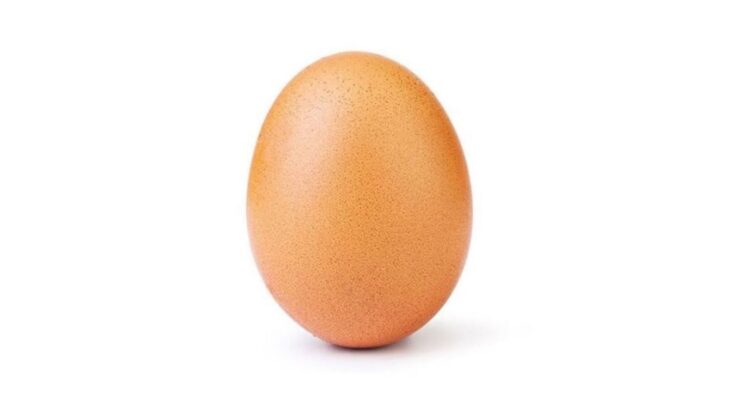 egg