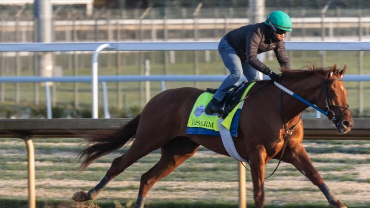 Kentucky Derby horse