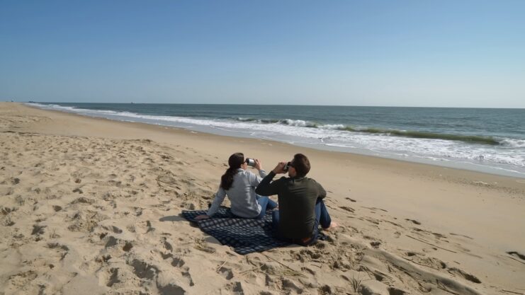 Cape Henlopen State Park