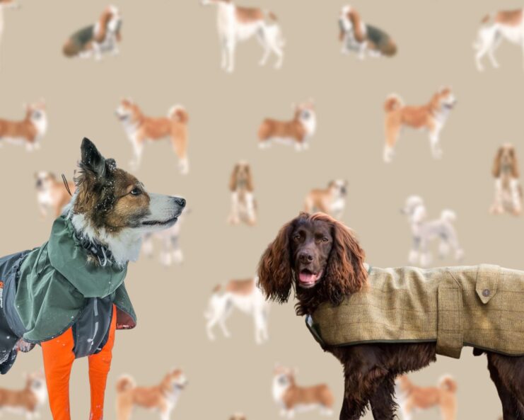 Dog coats