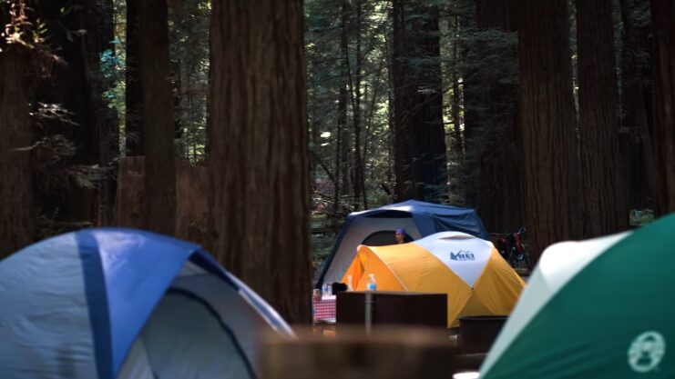 Redwoods National Park_ Best Campground in Humboldt California