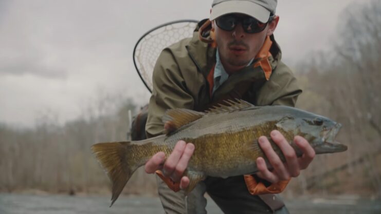 Smallmouth Bass