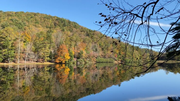 Vogel State Park