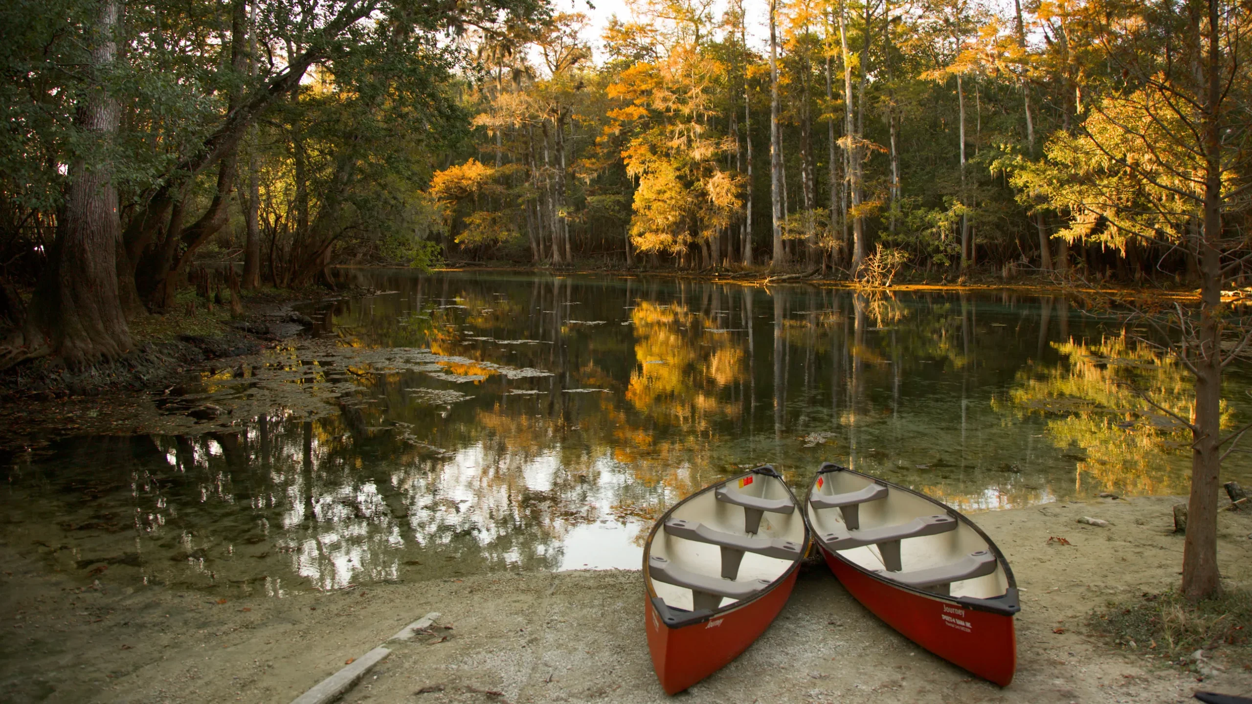 Best camping spots in florida archives vcsd