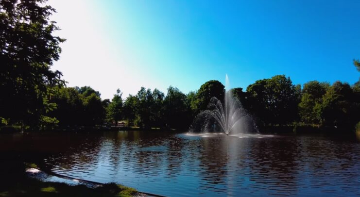 Enjoy Vondelpark Amsterdam 