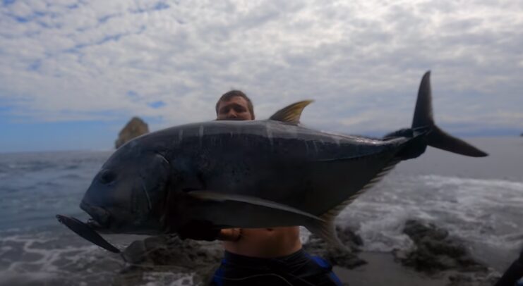 Giant Trevally (Caranx ignobilis) Fish in Hawaii