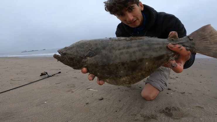 Halibut Fishing