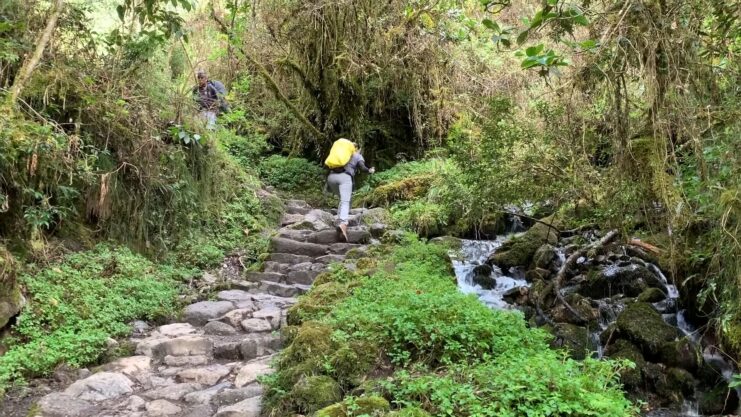 Inca Trail to Machu Picchu