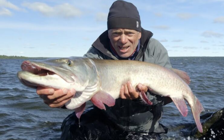 Muskellunge fish illinois