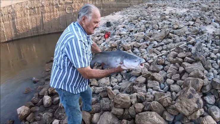 arkansas fish