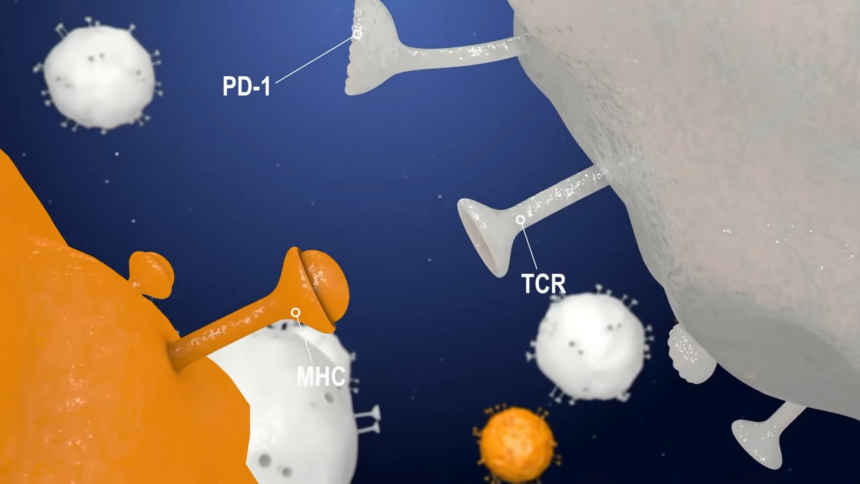 Combination Therapies: Synergizing Immunotherapy Approaches